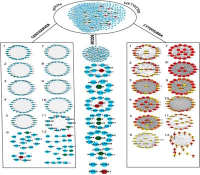 Identification of pathogenic genes associated with CKD: An integrated bioinformatics approach